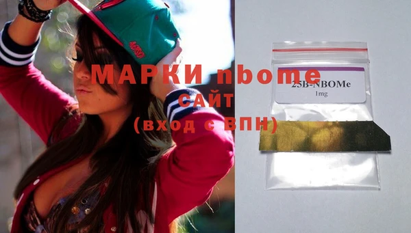 индика Алексин