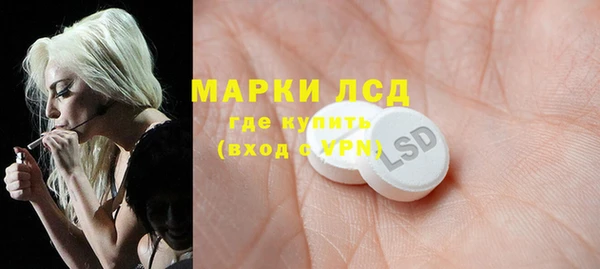 индика Алексин