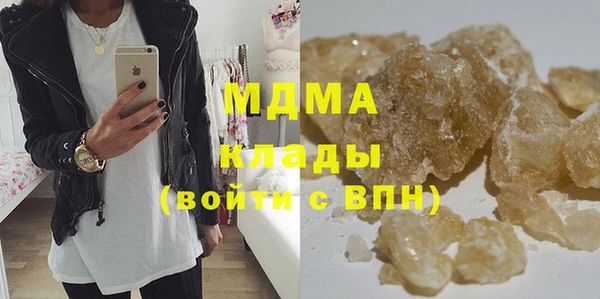 индика Алексин