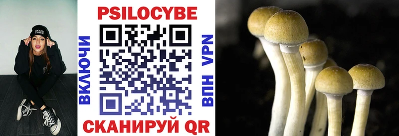 Галлюциногенные грибы Psilocybe  Дегтярск 